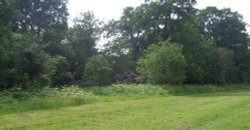 Scofton village Wallpaper