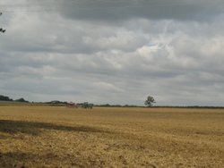 Harvest time, Yielden