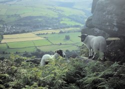 Courting couple looking over the Derbyshire countryside