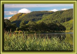 Tall Grass at Bassenthwaite Wallpaper