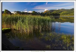 Bassenthwaite lake view Wallpaper