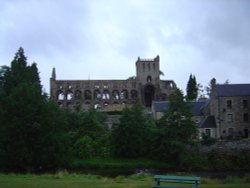 Jedburgh Abbey (Borders) Wallpaper