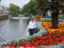 Dawlish in Devon Wallpaper