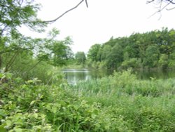 Blackbrook Reservoir, Shepshed, Leicestershire Wallpaper