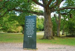 The Rufus Stone in the New Forest, Hampshire. Wallpaper