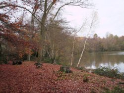 Autumn at Slaugham in West Sussex