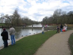 The grounds of Coombe Abbey Hotel in Binley, Warwickshire Wallpaper