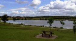 Pools Brook Country Park Wallpaper