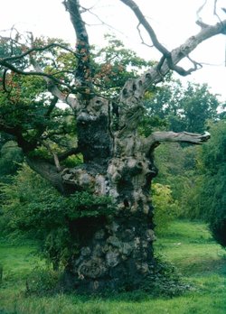 Hatfield House