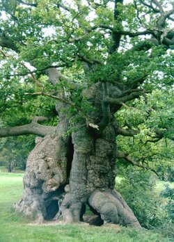 Hatfield House
