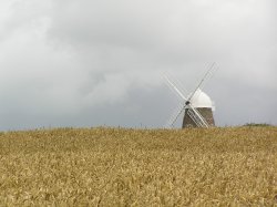 Halnaker Windmill, West Sussex Wallpaper