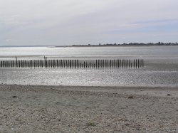 View across the entrance to Chichester Harbour from East Head Wallpaper