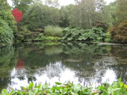 Garden Pond at RHS Garden Rosemoor, Great Torrington in Devon