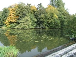 Stanford Hall grounds, Lutterworth, Leicestershire Wallpaper