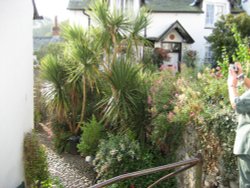 Cottage and garden in Clovelly, Devon Wallpaper
