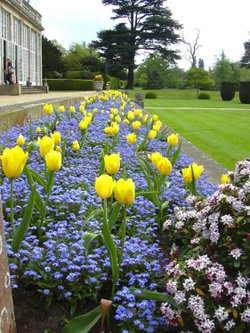 Orangery border at Belton House in Belton, Lincolnshire