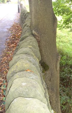Village of  Baslow in Derbyshire