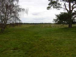 Burial mounds, Sutton Hoo, Woodbridge, Suffolk Wallpaper