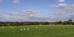Farming at Thorpe Salvin, South Yorkshire