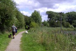 Carr Vale Nature Reserve, Derbyshire