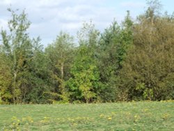 New Lount Nature Reserve, Lount, Leicestershire