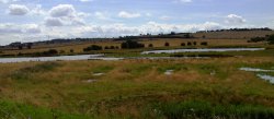 Carr Vale Nature Reserve, Derbyshire