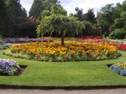 Barham Park, Wembley, Greater London Wallpaper