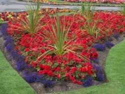 Barham Park, Wembley, Greater London Wallpaper