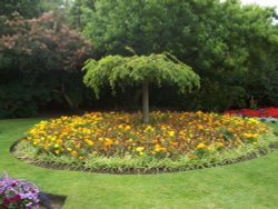 Barham Park, Wembley, Greater London Wallpaper