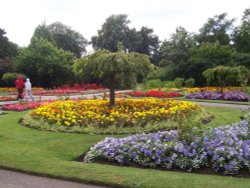 Barham Park, Wembley, Greater London Wallpaper