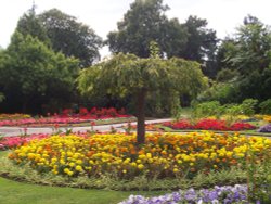 Barham Park, Wembley, Greater London Wallpaper