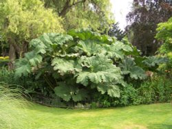 Barham Park, Wembley, Greater London Wallpaper