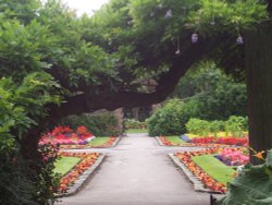 Barham Park, Wembley, Greater London Wallpaper