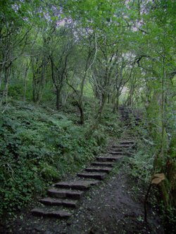 Step By Step to Thors Cave