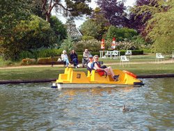 Fritton Lake Country Park, Gorleston-on-Sea, Norfolk Wallpaper