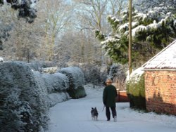 Walking the dog in snowy Bungay, Suffolk