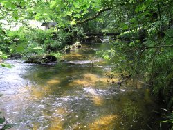 Golitha Falls, Draynes, Cornwall Wallpaper