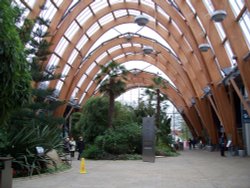 The Winter Garden, Sheffield, South Yorkshire Wallpaper