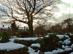Graveyard in the snow, Great Yarmouth, Norfolk Wallpaper