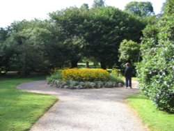 Garden Path at Tyntesfield, Wraxall, Somerset Wallpaper