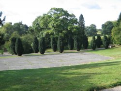 Old tennis courts and tree lined footpath at Tyntesfield, Wraxall, Somerset Wallpaper