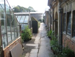 Greenhouses at Tyntesfield, Wraxall, Somerset Wallpaper