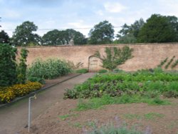 Walled garden, Wraxall, Somerset Wallpaper