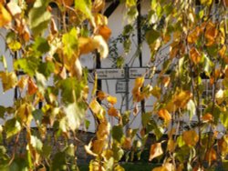 Signpost, centre of Chilton, Buckinghamshire Wallpaper