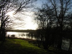Pitsford Water, Northampton, Northamptonshire Wallpaper