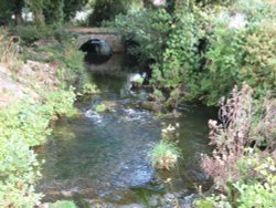 Small river running through Cheddar, Somerset Wallpaper