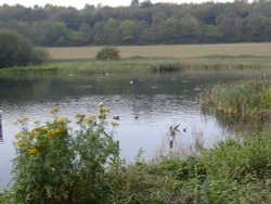Sprotbrough Flash, South Yorkshire Wallpaper