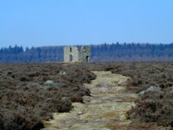 Skeltons Tower