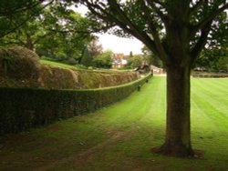 Castle Park and Roman Wall, Colchester Wallpaper