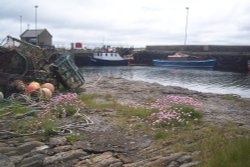 Shapinsay Harbour 2007